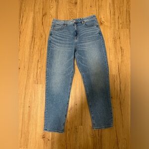 American Eagle Mom Jeans
